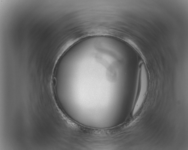 X0000059810901200511041650