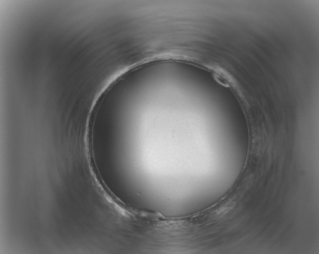 X0000059810902200511041650