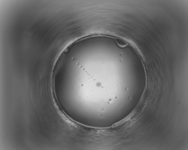 X0000059810903200511041650