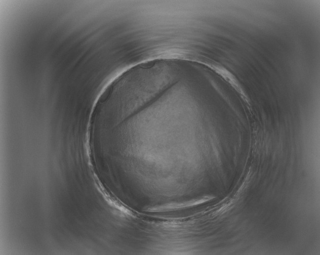 X0000059810904200511041650