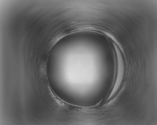 X0000059810905200511041650