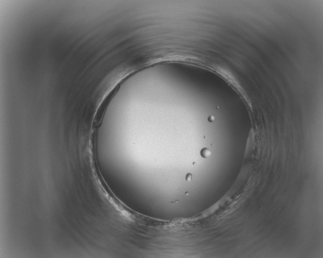 X0000059810906200511041650