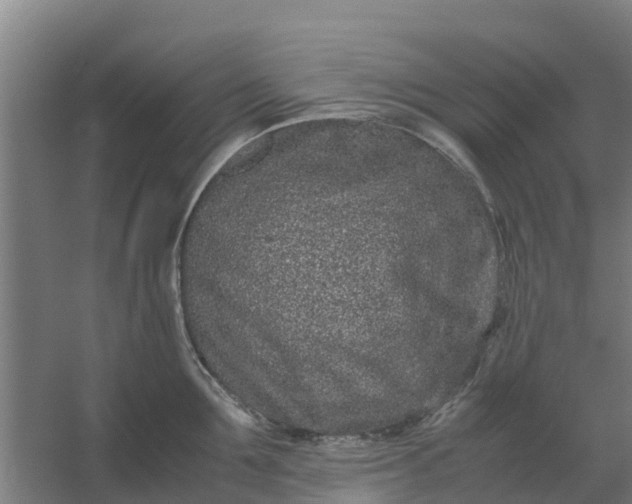 X0000059810907200511041650