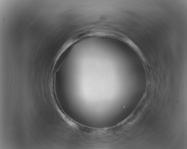 X0000059810909200511041650