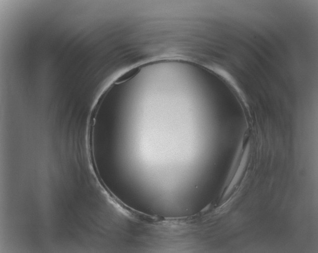 X0000059810910200511041650