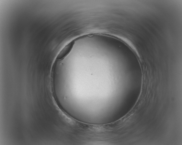 X0000059810911200511041650