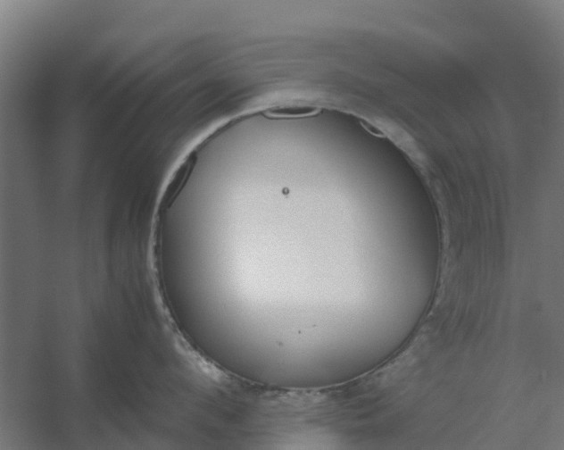 X0000059810912200511041650