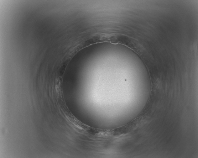 X0000059810914200511041649