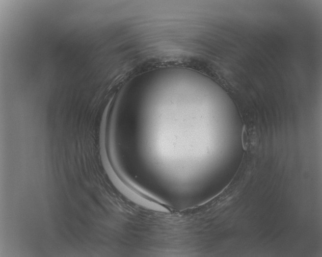 X0000059810916200511041649