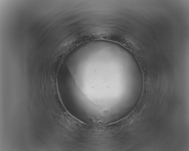 X0000059810917200511041649