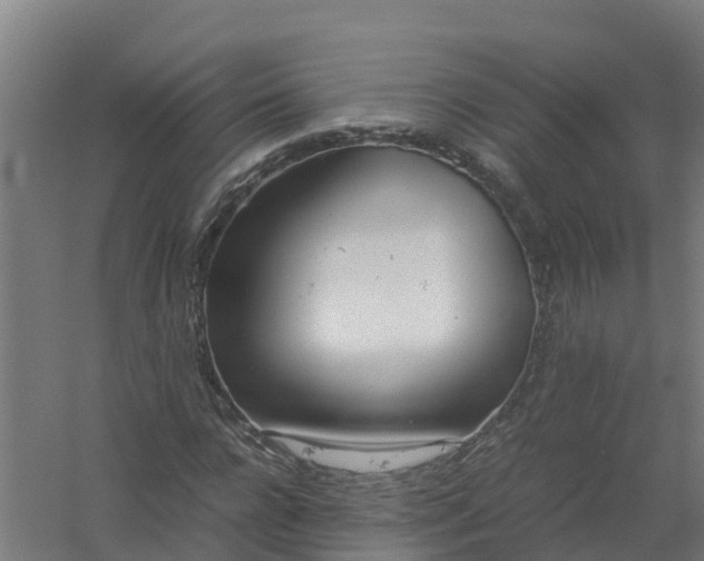 X0000059810920200511041649