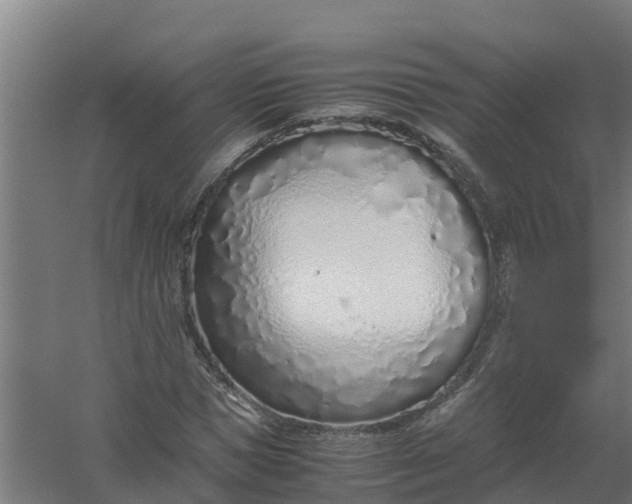 X0000059810921200511041649