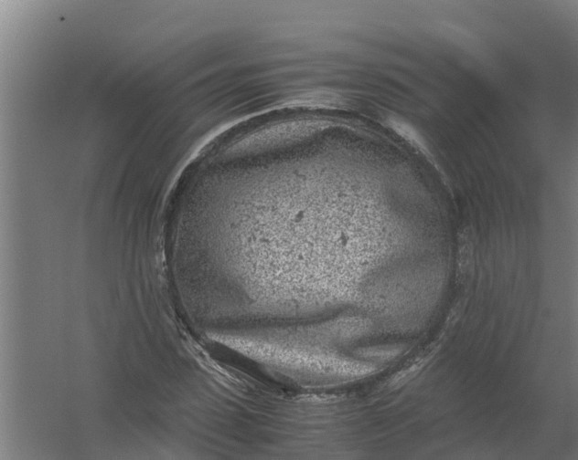 X0000059810923200511041649