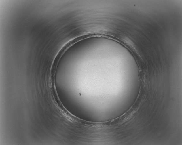 X0000059810924200511041649