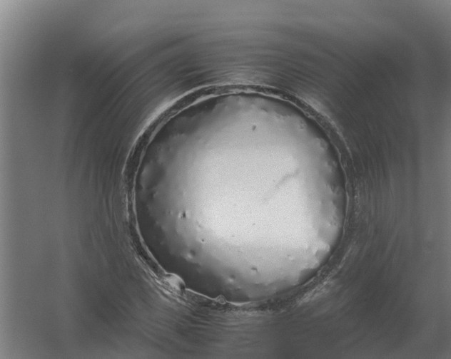 X0000059810925200511041649