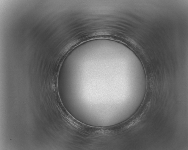 X0000059810929200511041650