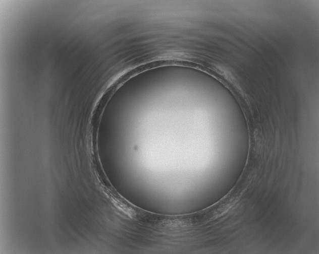 X0000059810931200511041650