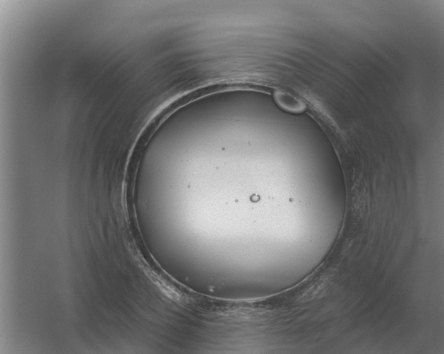 X0000059810932200511041650