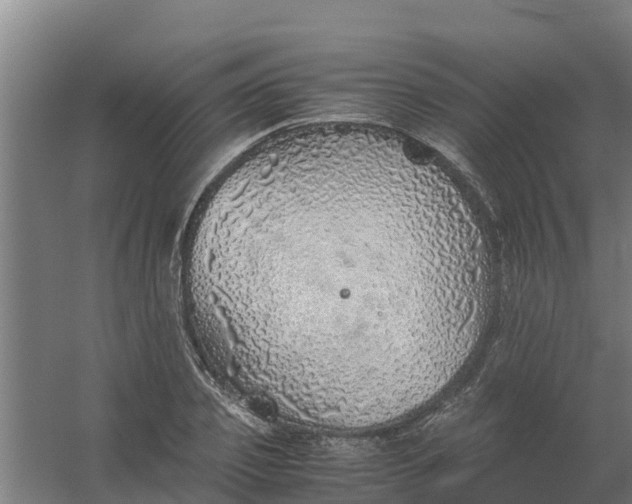 X0000059810933200511041650