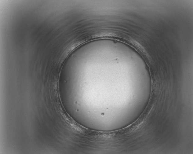 X0000059810937200511041650