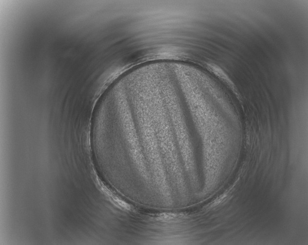 X0000059810938200511041650