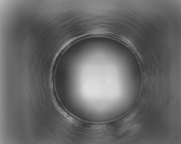 X0000059810939200511041650