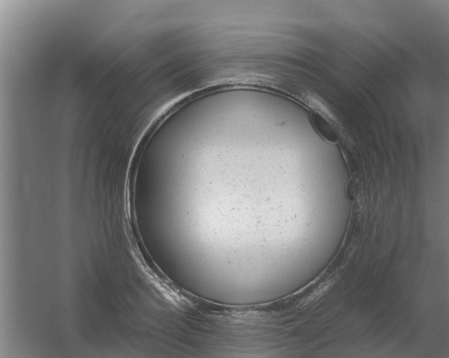 X0000059810940200511041650