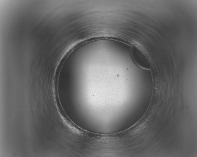 X0000059810942200511041650