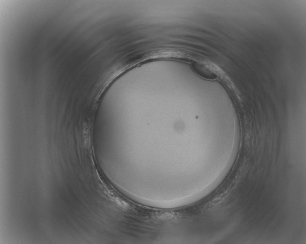 X0000059810945200511041650