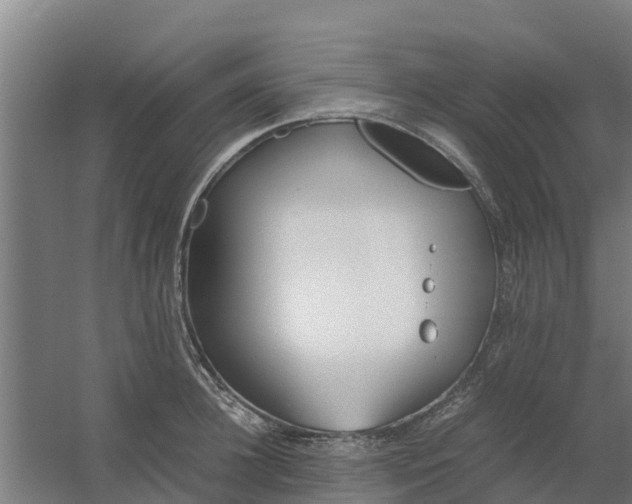 X0000059810948200511041650