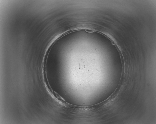 X0000059810949200511041650