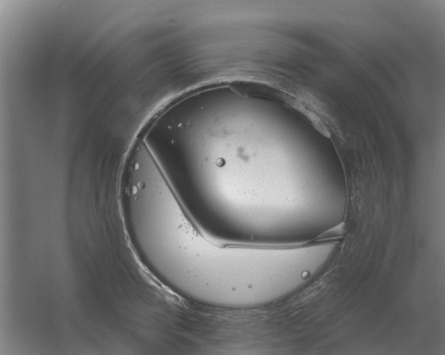 X0000059810950200511041650