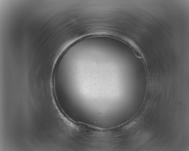 X0000059810951200511041650