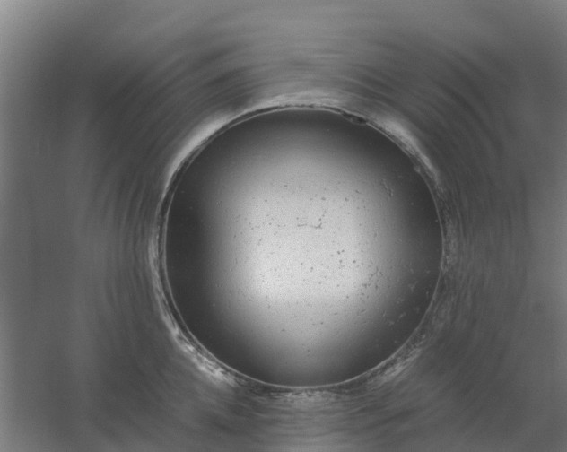 X0000059810952200511041650