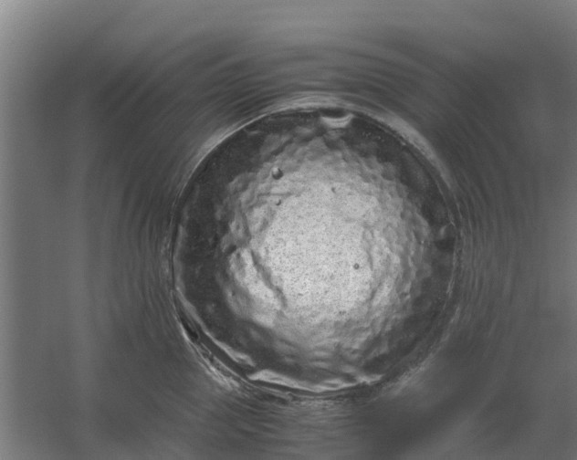 X0000059810953200511041650