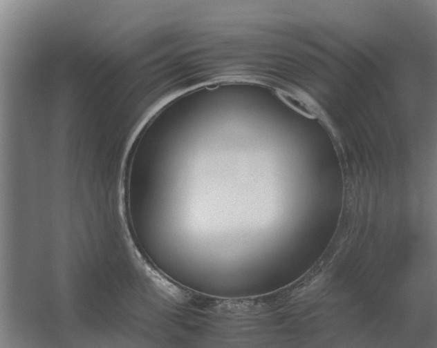 X0000059810955200511041650