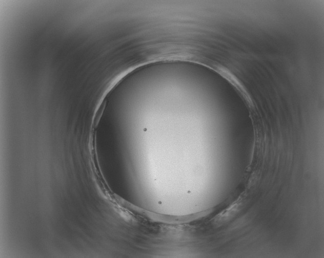 X0000059810956200511041650