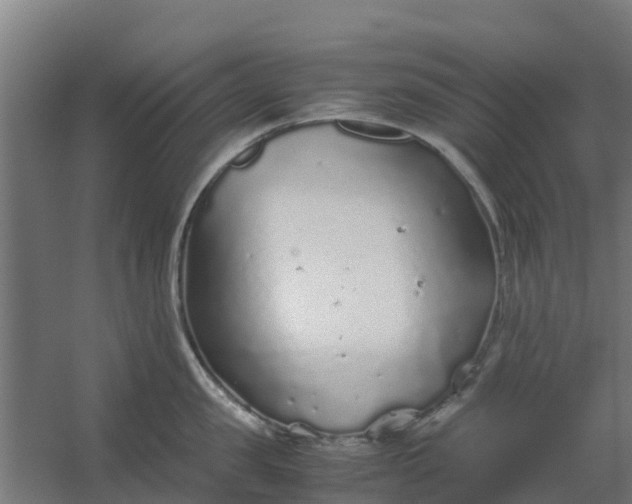 X0000059810957200511041650