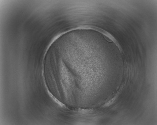 X0000059810958200511041650