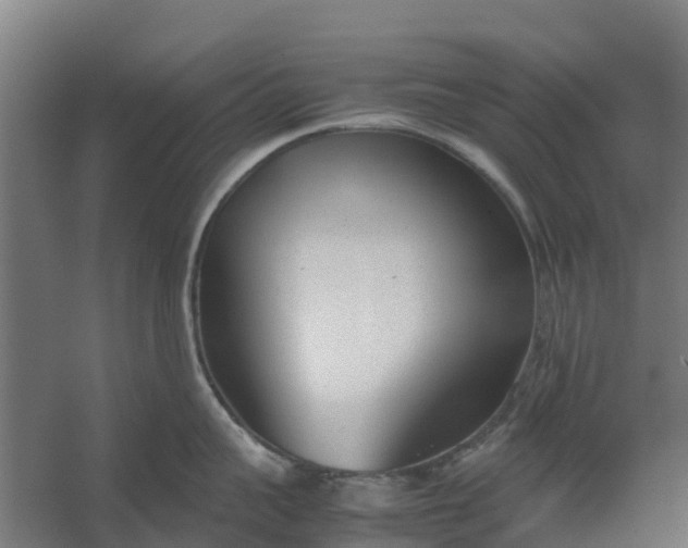 X0000059810959200511041650