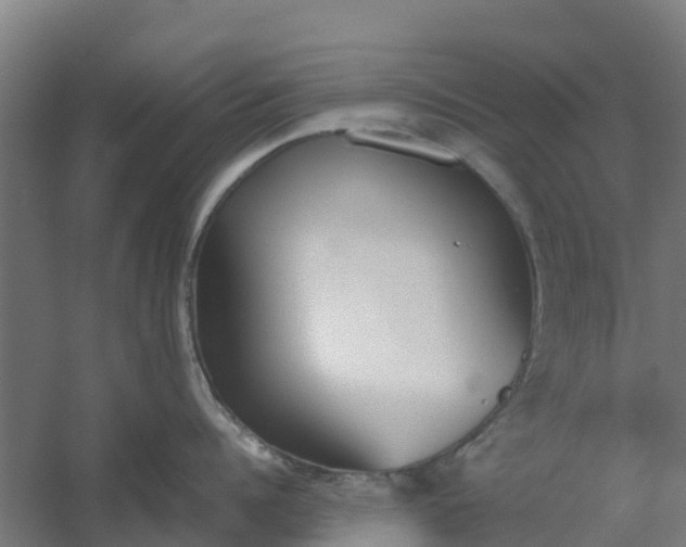 X0000059810960200511041650