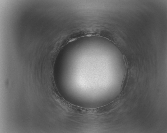 X0000059810961200511041649