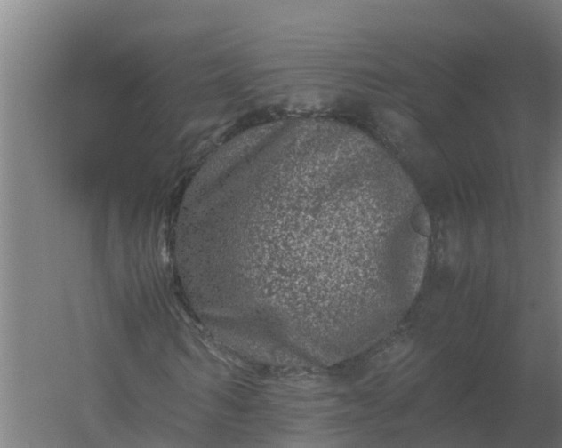 X0000059810962200511041649