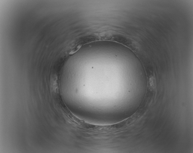 X0000059810963200511041649