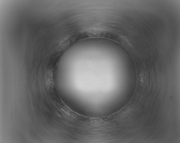 X0000059810964200511041649