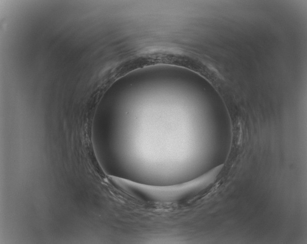 X0000059810965200511041649