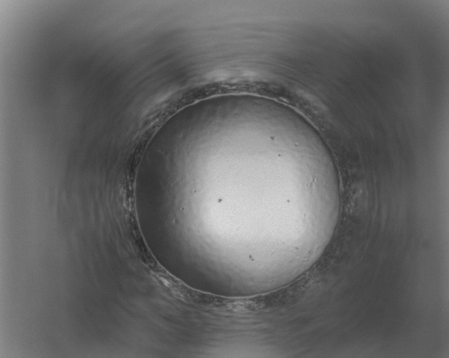 X0000059810966200511041649