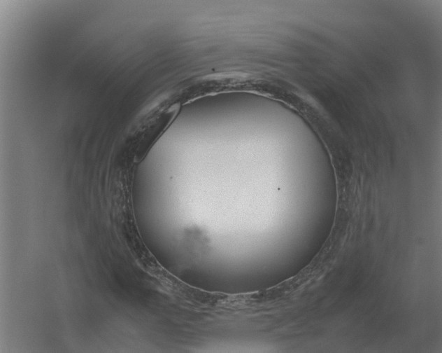 X0000059810967200511041649