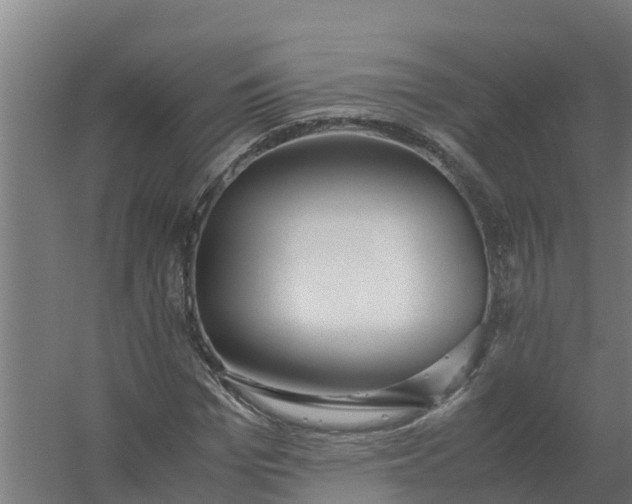 X0000059810969200511041649