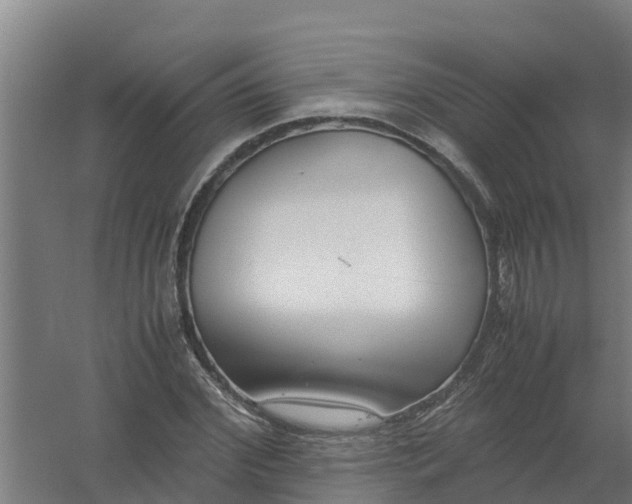 X0000059810972200511041649